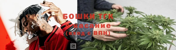 тгк Богданович